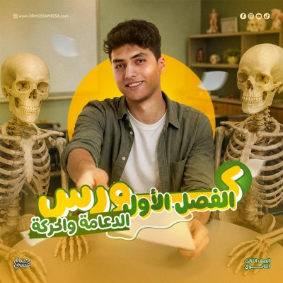 باب الدعامة و الحركة